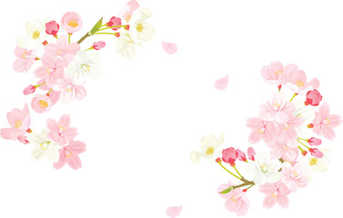 Fototapeta na wymiar 桜のフレーム　背景イラスト
