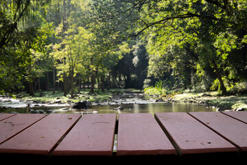 empty wooden table with the background is a forest