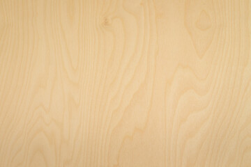 High key birch wood plank natural texture, plank texture background, plank tabletop background....
