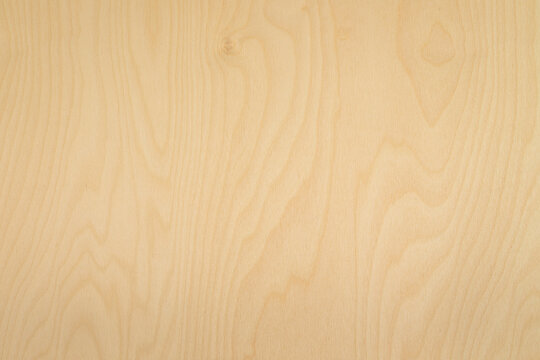 High key birch wood plank natural texture, plank texture background, plank tabletop background. Texture of wood. 
