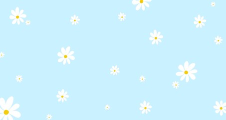 White flowers with blue background 
