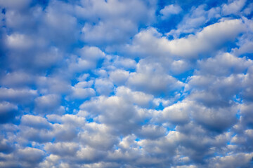 Sunset blue sky with white clouds