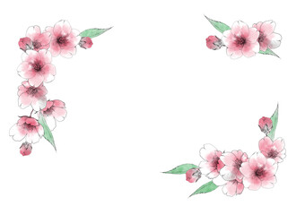 Fototapeta na wymiar 手描きの桜の花のフレーム