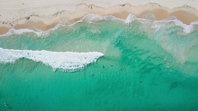 Top down vertical view of surfers catching a wave at Scarborough Beach in Perth