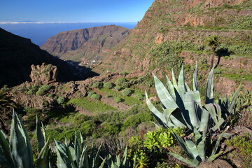 Spectacular view towards the Valle Gran Rey, La Gomera, Canary Islands, Spain, with Aloe Vera plants in the foreground and El Hierro island in the background. Picture taken from a hiking trail 