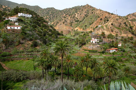 General view of the Northern Island above Vallehermoso, La Gomera, Canary Islands, Spain, with terraced fields and palm trees. This picture was taken from a hiking trail from Vallehermoso  to Macayo