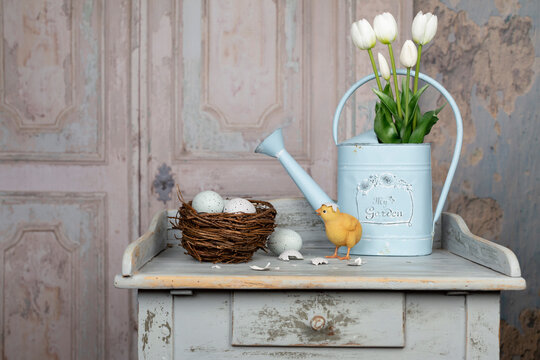 Easter still life with white tulips flowers in a watering can and with newborn baby chicken and eggs in a nest on shabby chic vintage kitchen table with old door background