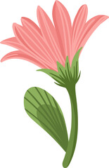 Pink flower. Illustration