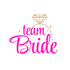 Team bride wedding decoration icon sign banner design vector