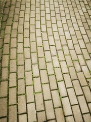 mosaic type texture of wall or floor