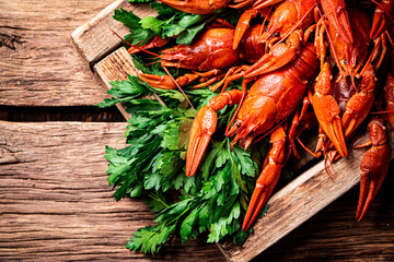 Boiled crayfish with parsley on the tray. 