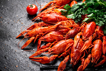 Boiled crayfish with parsley. On a black background.