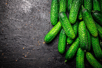 Bunch of fresh homemade cucumbers. 