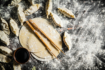 Making homemade a gyoza dumplings. 