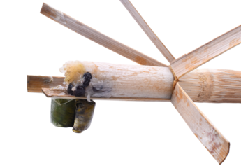 "Khao Lam" Thai dessert, coconut milk, sticky rice in bamboo tubes​ isolated​ transparent png