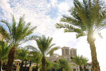Palm trees against sunny sky in Madinat jumeirah, Dubai
