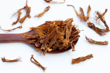 Obraz premium Dried red cotton tree flower