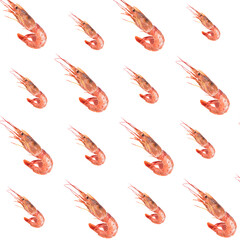 Pattern with argentine shrimp on isolated white background.