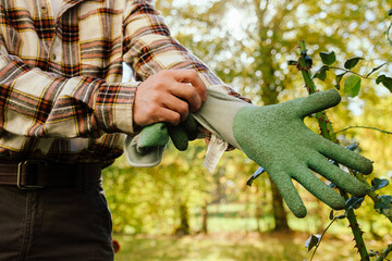 Close up of man putting on working gloves while standing in garden
