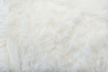 White animal fur. Weasel or cat hair. Fur clothes, white fur coat close up.