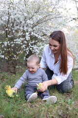 a mother and a little son are sitting on the green grass near a blooming tree and little yellow ducklings are near them. two little ducklings and a one-year-old boy