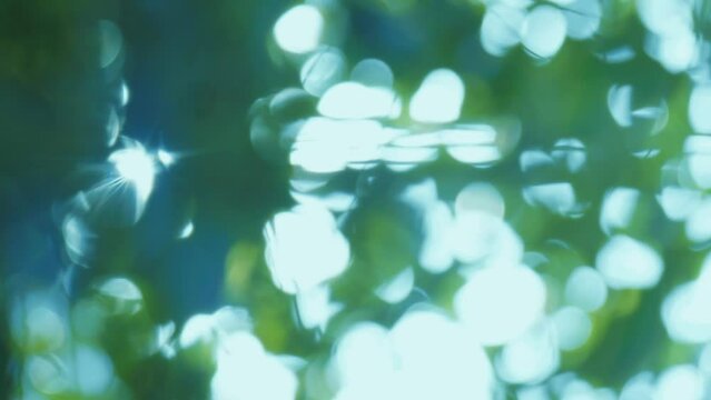木漏れ日のイメージ