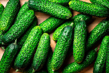 Young fresh cucumbers. Macro background. 