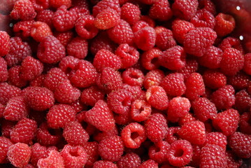 Himbeeren