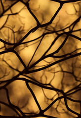 Seamless Abstract Nature Branches in Sunset Pattern