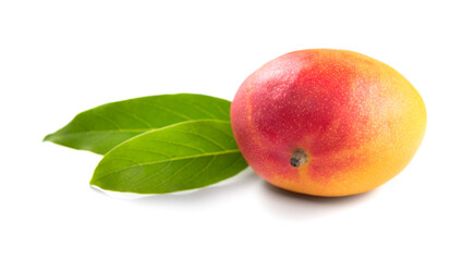 Mango fruit. Ripe whole Mango fruit isolated on white background. Close-up of fresh juicy tropical mango with leaf, ready to eat healthy sweet dessert, vegan food. 