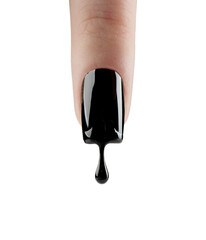 Nail art finger nail. Black gel polish dripping from beautiful long nail isolated on white...