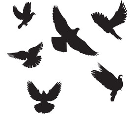 set of silhouettes of birds