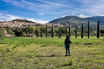 Obraz premium assisi, italien - zypressen und stadtpanorama