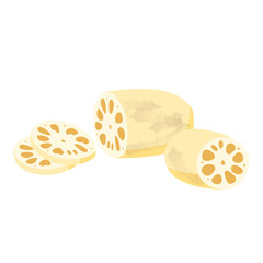 野菜イラスト　断面が見える状態のレンコン.