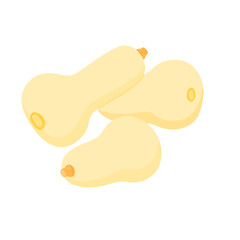 野菜イラスト　複数のバターナッツかぼちゃ.