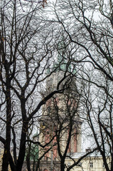 The Kornyakt tower in the foggy old Lviv behind the lacy ornamentation of the branches of tall trees.
