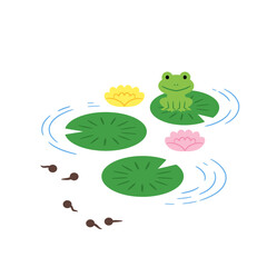蓮の葉花とカエルとオタマジャクシ.