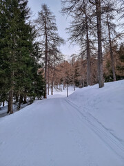 paesaggio invernale a foppolo