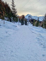 paesaggio invernale a foppolo