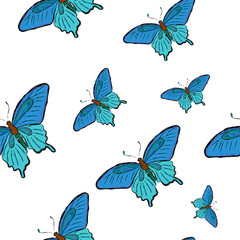 seamless vector pattern, blue butterflies