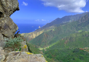 Mirador de Risco Amogoje, Anaga, Tenerife