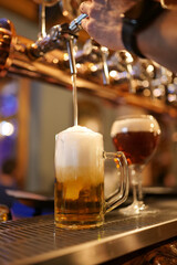 cold beer in a pub 