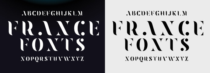 FRANCE FONTS Sports minimal tech font letter set. Luxury vector typeface for company. Modern gaming fonts logo design.