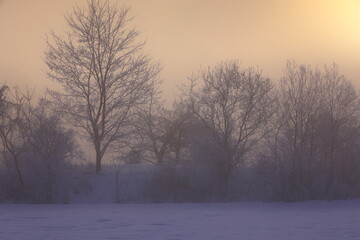 朝焼けの冬景色