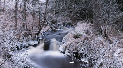 Stream in the forest in winter at dusk