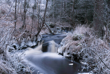 Stream in the forest