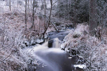 Stream in the forest
