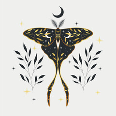Mystic gold moth isolated vector illustration. Magic moon, occult, print, poster.