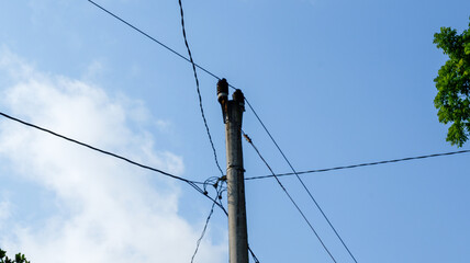 photo of a utility pole with many wires running down