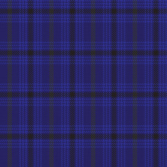 Blue Minimal Plaid textured Seamless Pattern